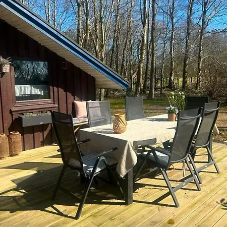 Ved Vesterhavet Ff1001 Holiday home *