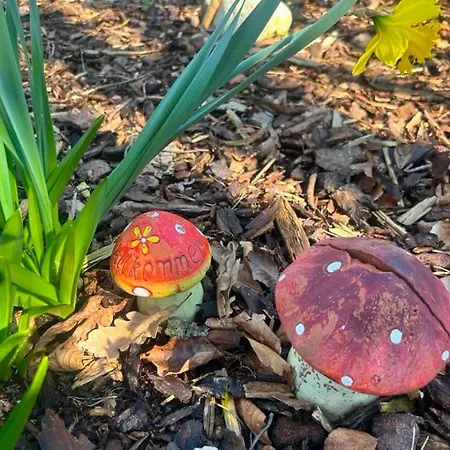 Cozy Nature With Patio, Parking And Wifi Holiday home *