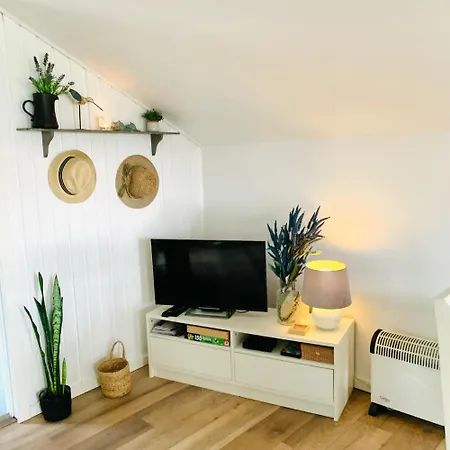 Ved Vesterhavet Ff1001 Holiday home